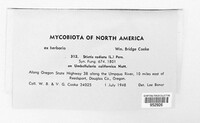 Image Associated With the Occurence